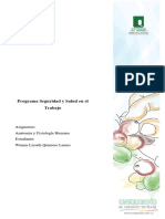 Programa Seguridad y Salud en El Trabajo