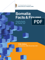 Somalia Facts and Figures 2020