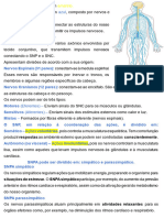 Aula 4 - Resumo Sistema Nervoso