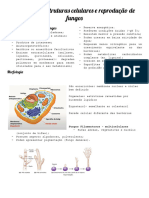 Morfologia, Estrutura e Reprodução de Fungos