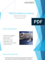 Hipotiroidismo Canino Caso Clinico