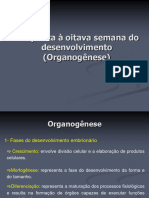 Aula (Alunos) - Fechamento e Periodo Fetal