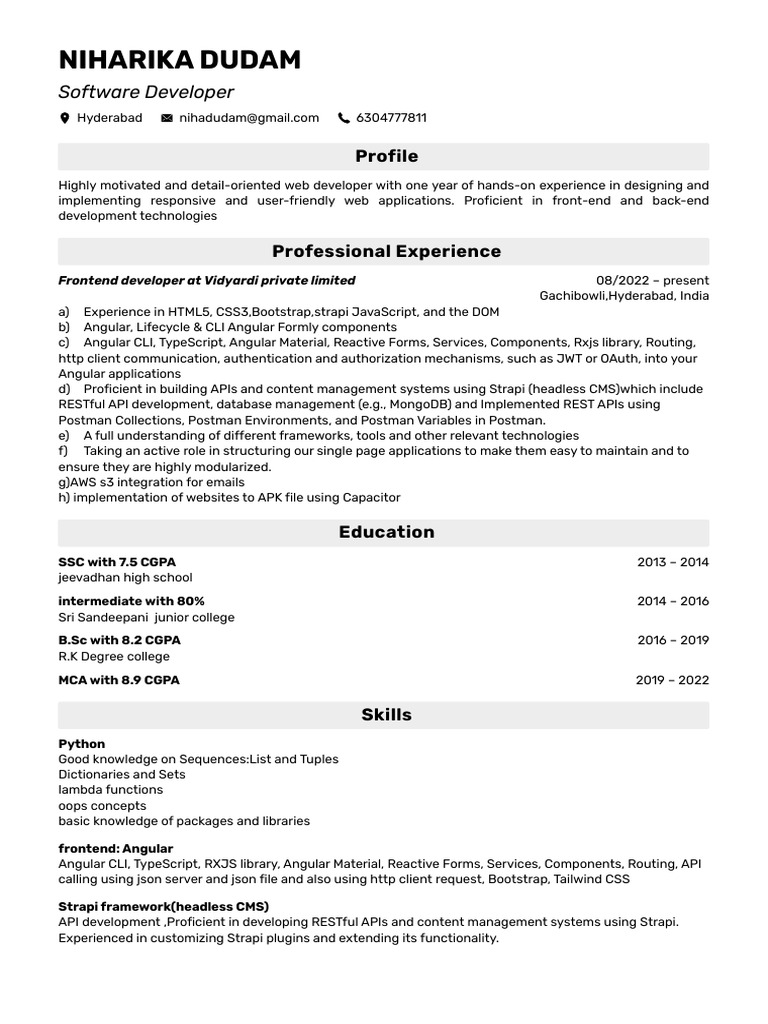 Web Developer Profile: Skills & Experience | PDF | World Wide Web ...