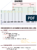 Hema - t2 - Estudi Morfològic Cels SP I MO