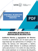 Aud. Al Efectivo y Equivalente de Efectivo