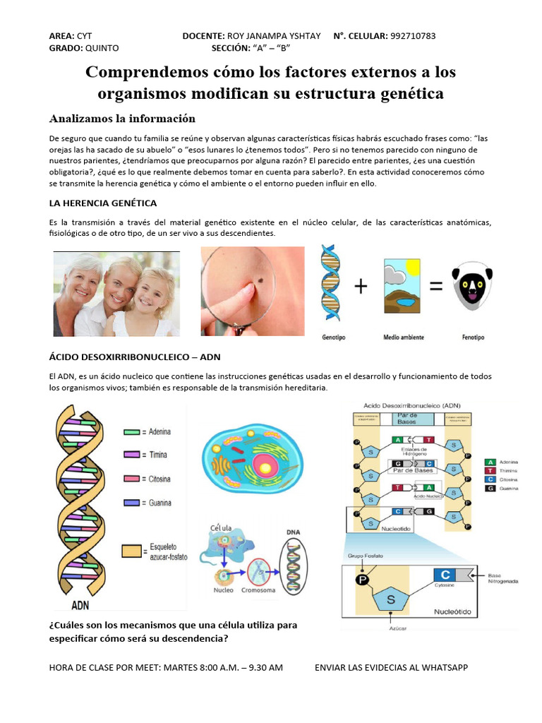 c-y-t-5-a-b-sem-3-1-pdf-gene-dominancia-gen-tica