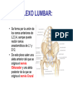 Pres Obturador y Crural