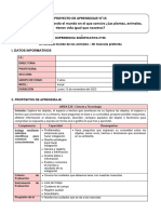 3 Años - Actividad Del 13 de Noviembre