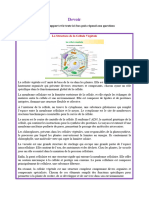 Devoir - La Structure de La Cellule Végétale