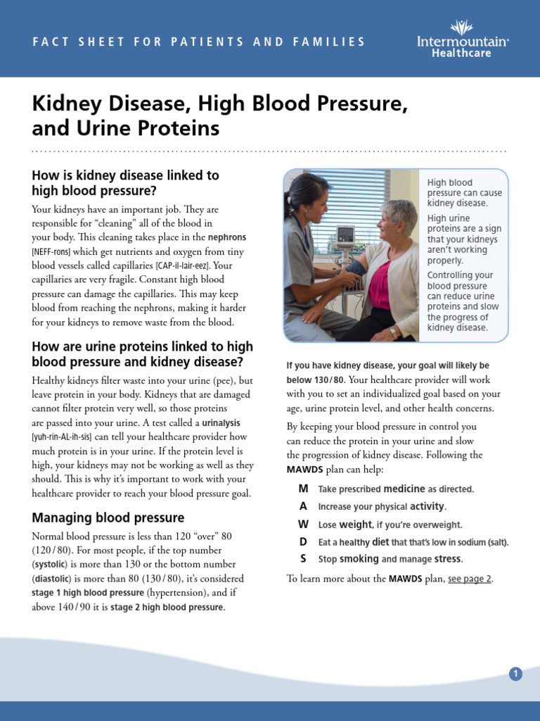 how-to-lower-protein-in-urine-download-free-pdf-kidney-body-mass