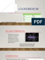 Clostridium 