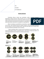 Proses Meiosis