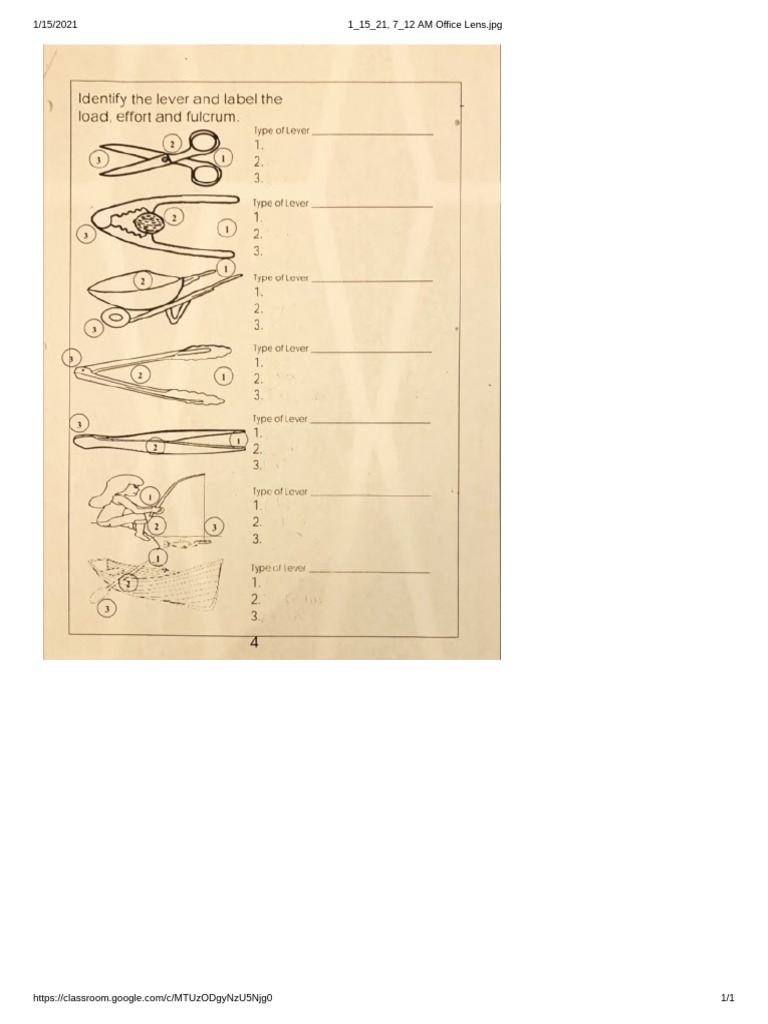 Levers Worksheet PDF