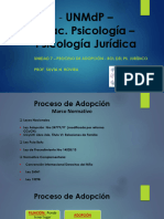 7-Proceso de Adopción