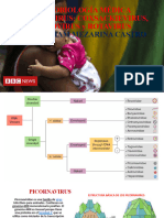 PICORNAVIRUS Coxsackievirus, Poliovirus y Rotavirus