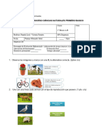 Evaluacion de Ciencias Seres Vivos