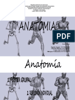 5.anatomia 1