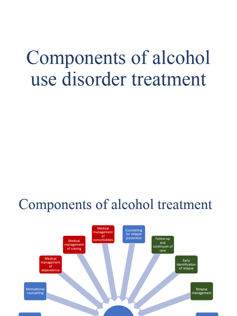 Components of Alcohol Treatment PDF
