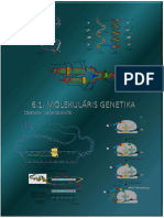 Molekularis Genetika