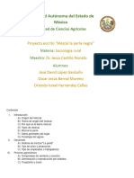 Proceso de Elaboración de Mezcal en La Perla