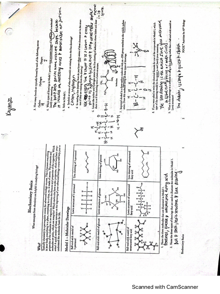 biochemistry-basic-pogil-pdf
