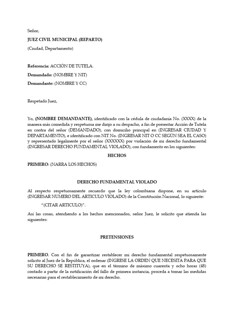 Modelo Acción de Tutela | PDF | Derecho Constitucional | Gobierno