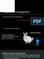 Organisme Transgenice