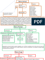 Ann Biología Mapas Conceptuales Reinos