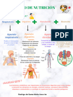 El Proceso de Nutrición