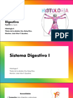 Sist. Digestivo I, II y III (JV)
