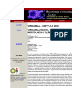 Documento (1) Virusmorfo