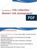 Risk Reduction in Disaster Management