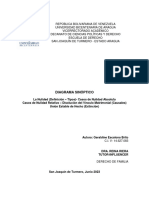 Diagrama Sinoptico-Geraldine Ecalona-Nulidad y Disolucion Del Matrimonio