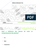 Comportamento Plantas - Fatores