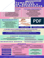 Infografia Fascias