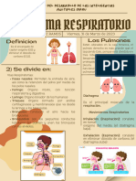 El Sistema Respiratorio Cartelera