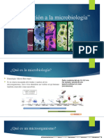 Clase 2. - Introducción A La Microbiología Sin Video