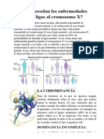 ¿Cómo Se Heredan Las Enfermedades Recesivas Ligas Al Cromosoma X?