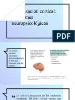 Sindromes Neuropsicologicos