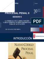 Sesión 6 - Derecho Procesal Penal II