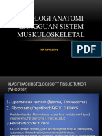 Kul GS Muskuloskeletal - Shinta18