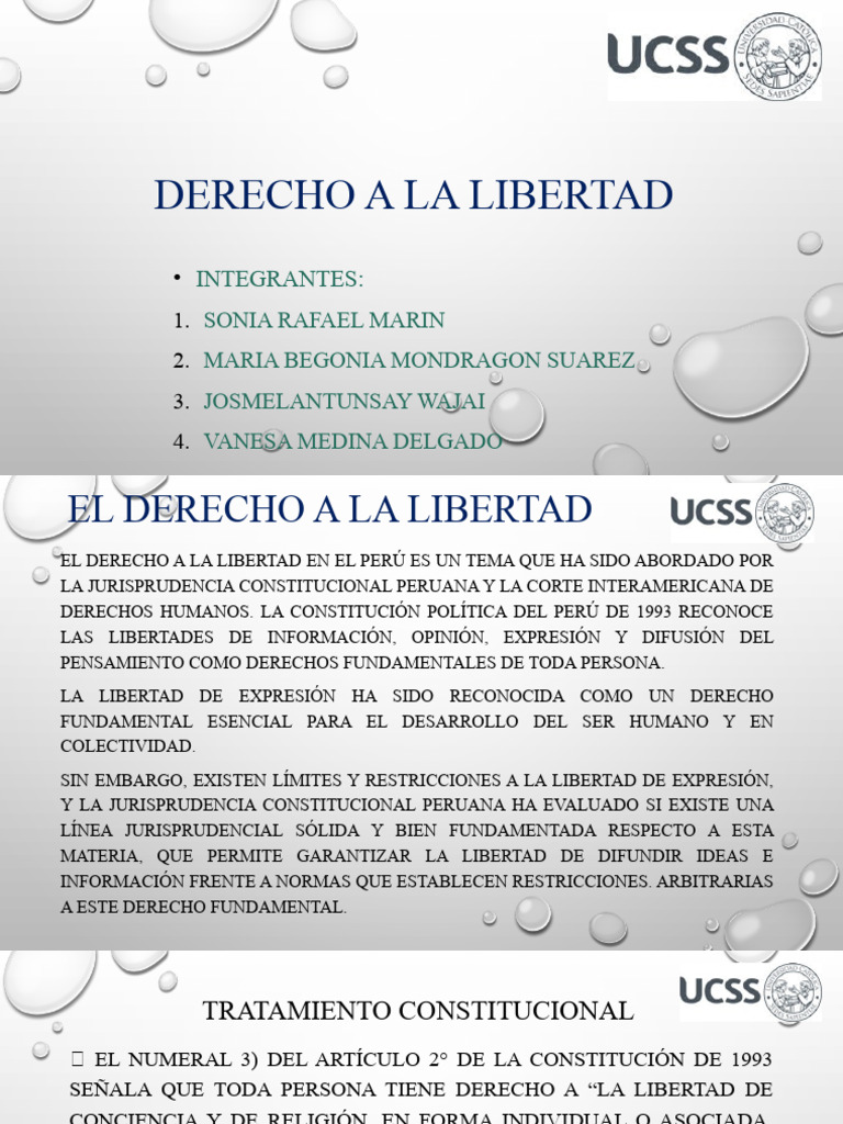 Derecho A La Libertad | PDF | Libertad | Libertad de expresión