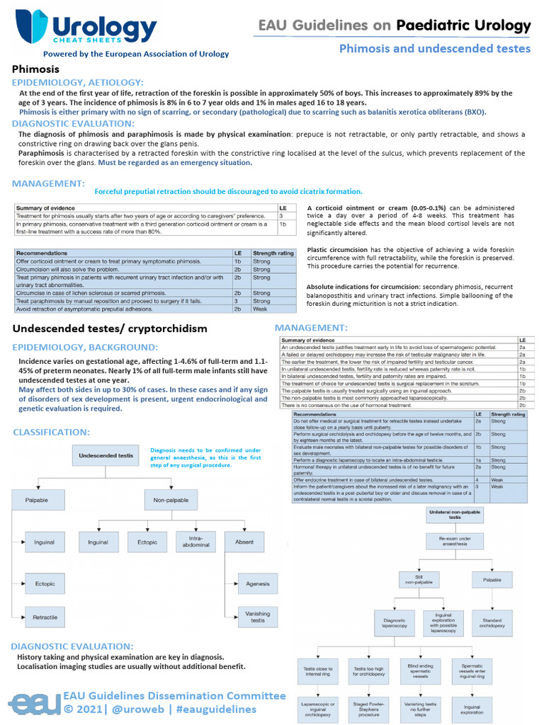 Cheatsheet_EAUpaediatric2correctedRadmayr29588 PDF Circumcision
