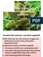 IV Pemuliaan Vegetatif