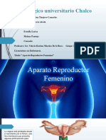 Aparato Reproductor Femenino