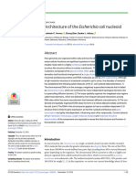 Architecture of The Escherichia Coli Nucleoid