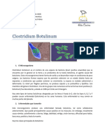 Clostridium Botulinum