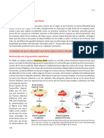 El Origen de La Vida - Recopilación PDF