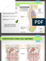 Abdomen Generalidades