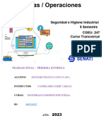 Trabajo-Final-Primera-Entrega-Seguridad-E-Higiene-Industrial N°1